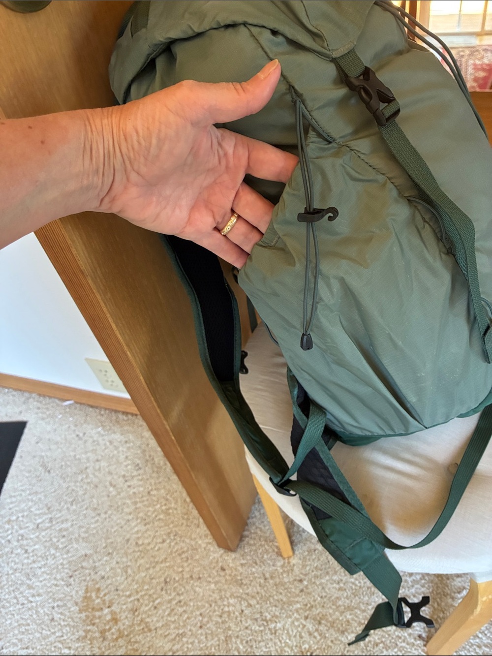 REI Flash 22 Daypack in Olive - Picture 2 of 5